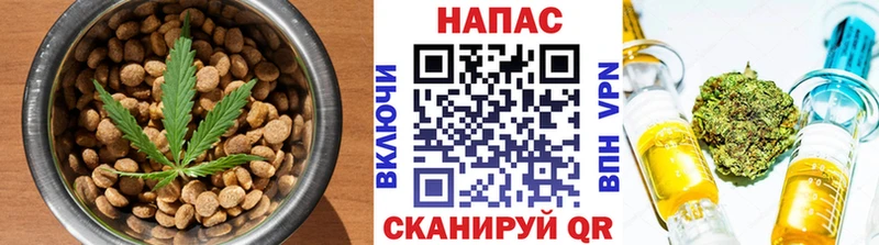 Cannafood марихуана  Купить закладки  Мегион 