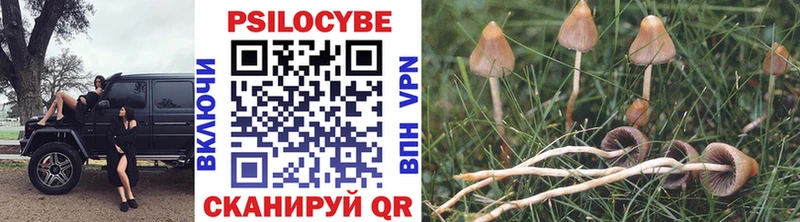 Псилоцибиновые грибы GOLDEN TEACHER  Купить закладки  Мегион 